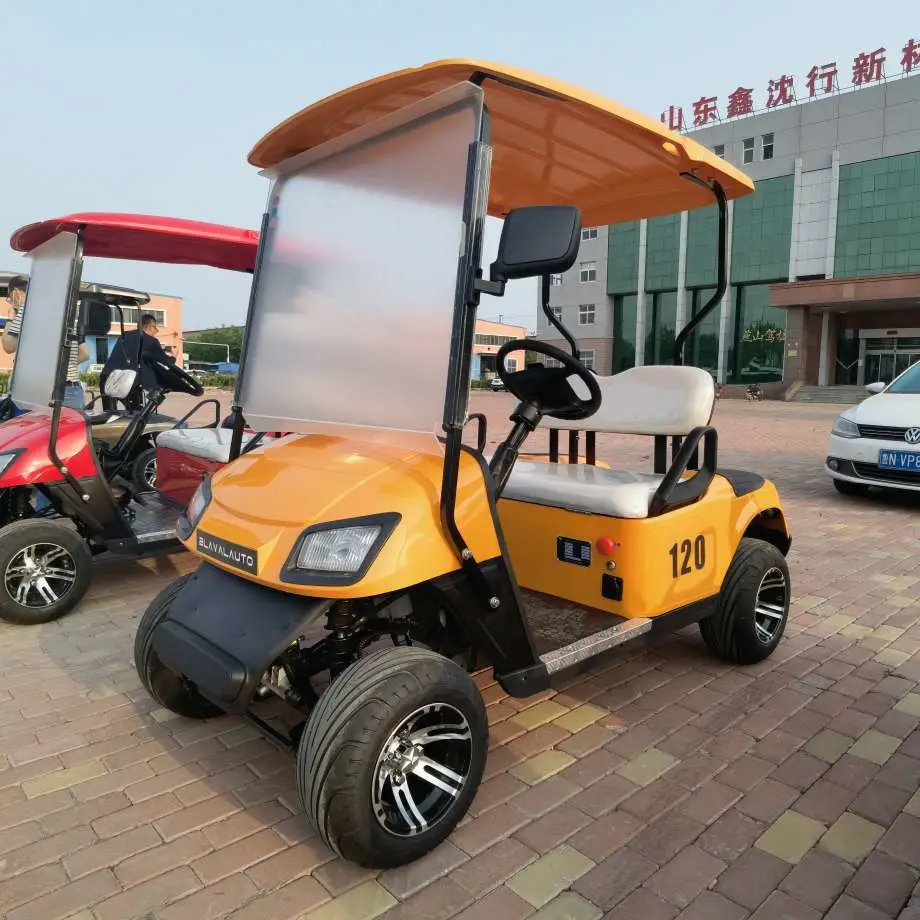 Best Choice of Electric 2 Seat Golf Cart Made in China