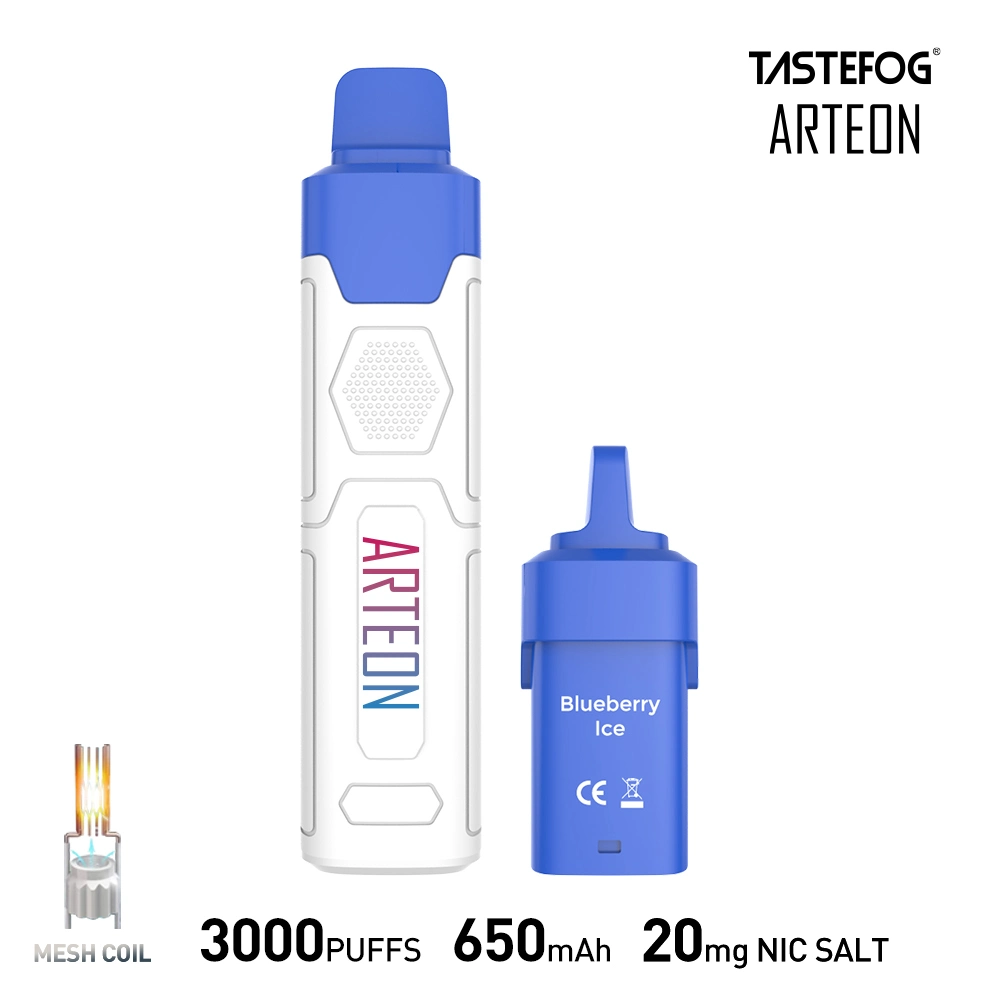 VAPE Tastegog Arteon 3000puffs 8ml E-Liquid Vapes desechables Cápsula rellena