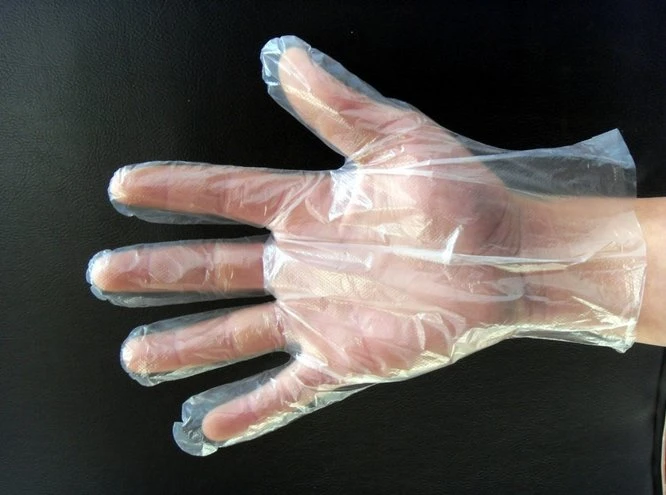 Polyethylene Disposable Gloves HDPE LDPE Poly Gloves Manufacturer in China