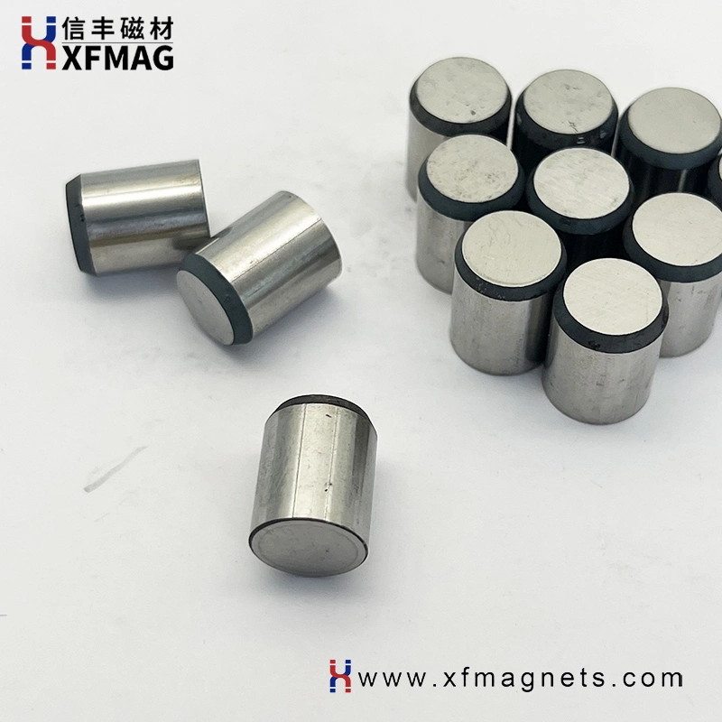 Stable Cylinder Rare Earth Permanent Magnetic AlNiCo Pot/Bar/Cylinder Magnet with Iron Cast