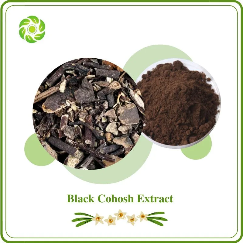 Woman Health Natural Black Cohosh Extract 4: 1 10: 1 Triterpene Glycosides 2.5% 5% 8% Cimicifuga Romose L. Pharmaceutical & Food Grade