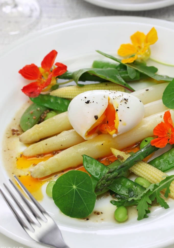 Pickled Snow White Asparagus in Can 800g