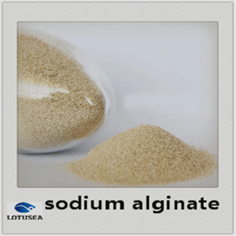 200mesh Industrial Sodium Alginate 6000cps for Textile Grade