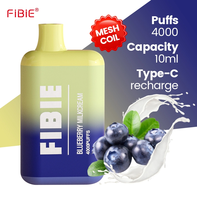 Original Factory Wholesale/Supplier Price Fibie 4000 Puffs Bar Electronic Cigarette 15 Flavors Disposable/Chargeable Vape Pen