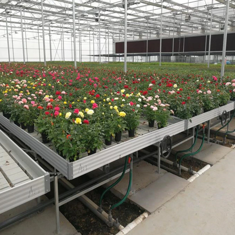 الزراعة الحديثة يزرع الزجاج الدفيئة مع نظام تظليل