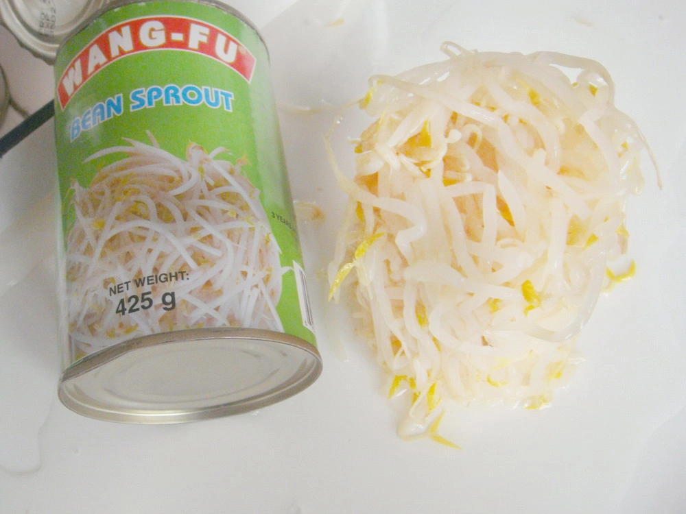 Fresh Bean Sprout Canned Bean Sprout Vegetables in Tin Packing