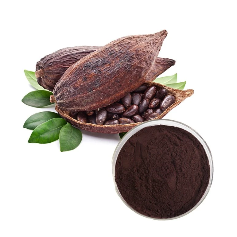 2023 Hot Selling Organic Pure Cocoa Extract 100% Theobromine Powder