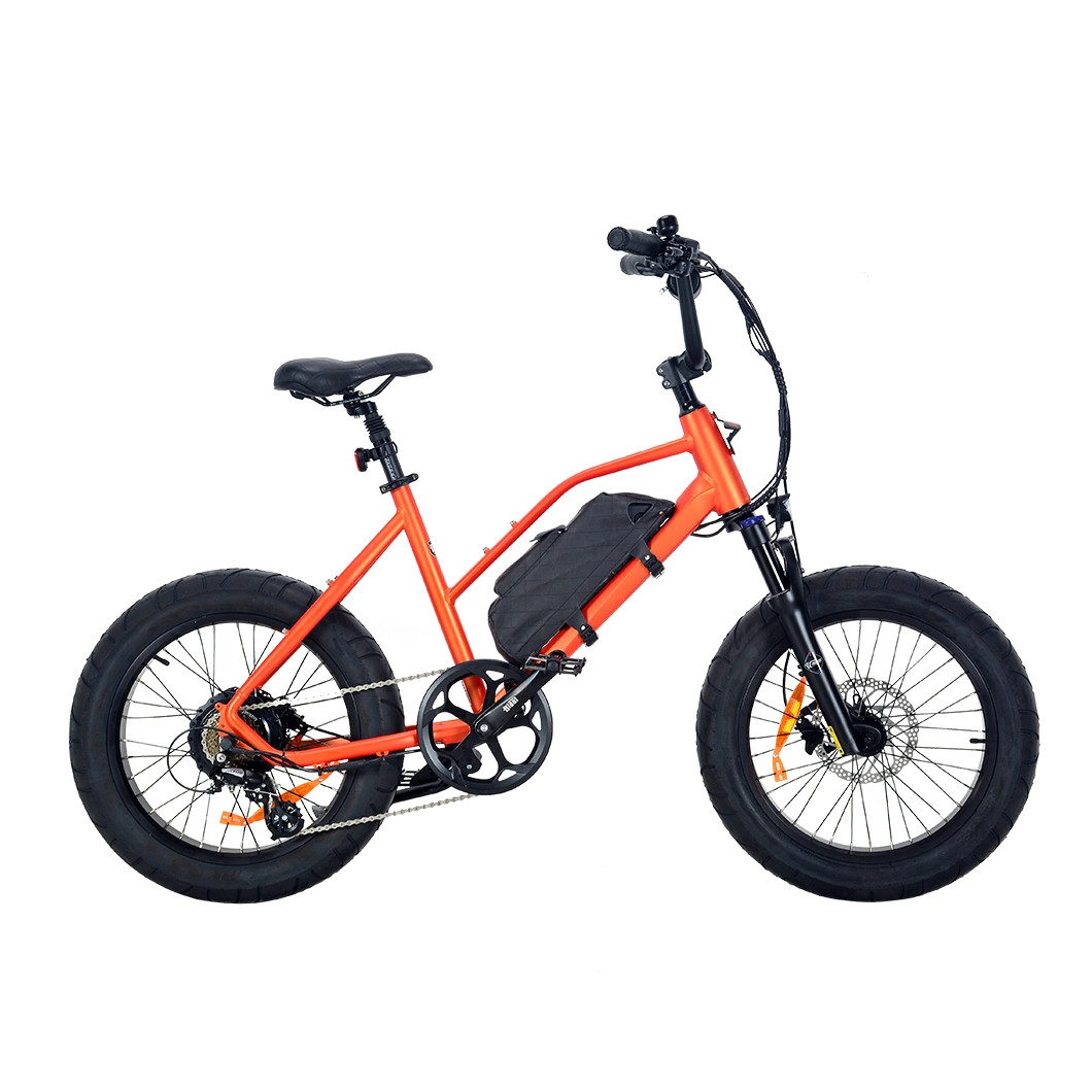 Lindo Ebike con la suspensión de la horquilla delantera 500W 350W motorizado sin escobillas Bicicleta eléctrica