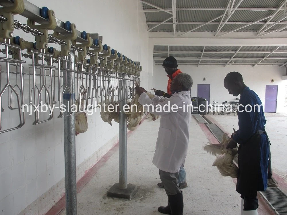 1000bph Frozen Chicken Small Scale Meat Processing Plant