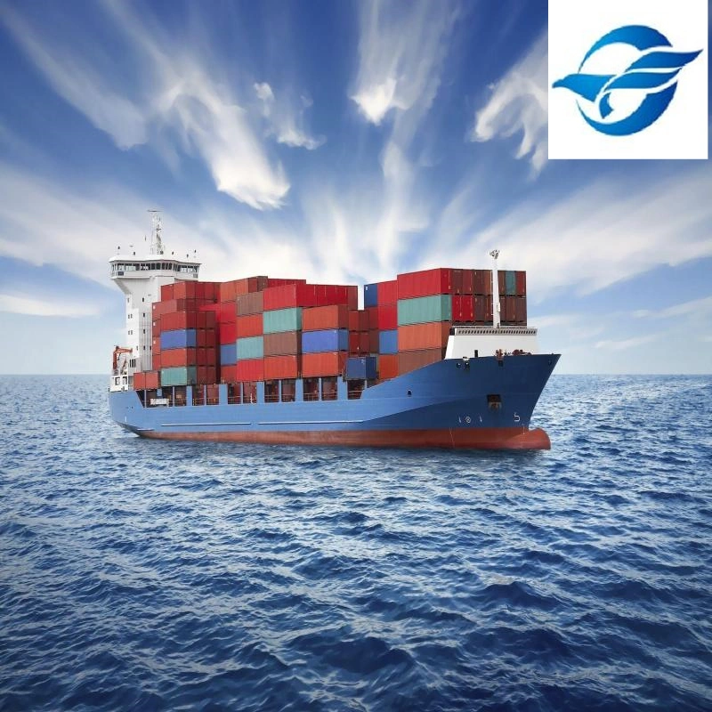 International Logistics Agent Shipping From China to Singapore