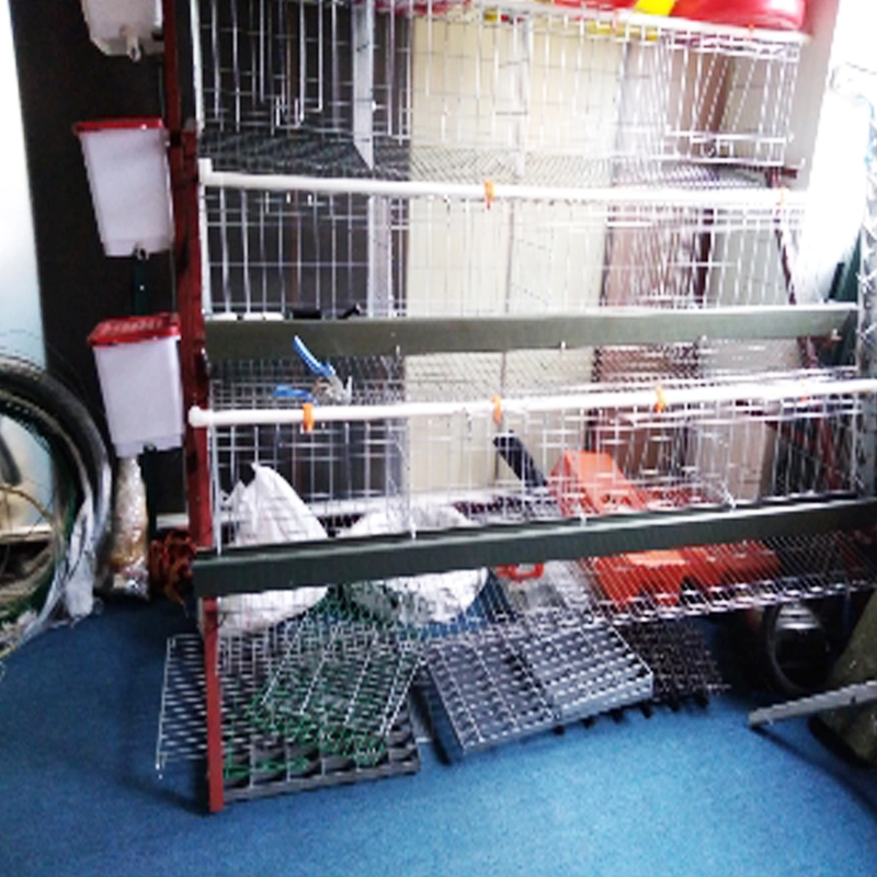 Direct Factory One Day Broiler Chicks Rearing Cages/Growing Broiler Chicken Cage for Sale(a Type & H Type Chick Cage