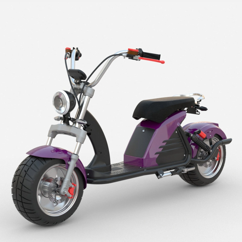 60V 3000A Nouvelle qualité modal Chopper Scooter moto avec Batterie amovible 45 ah avec EEC/COC