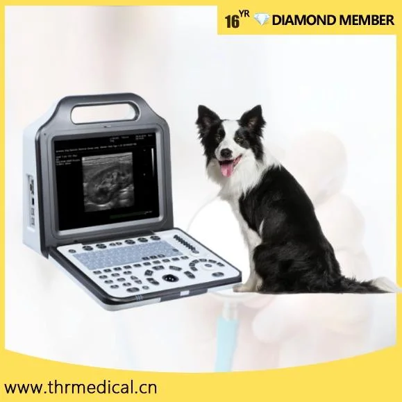 B/W Portable Veterinary Ultrasound System Digital Ultrasonic Diagnositc Device for Animal