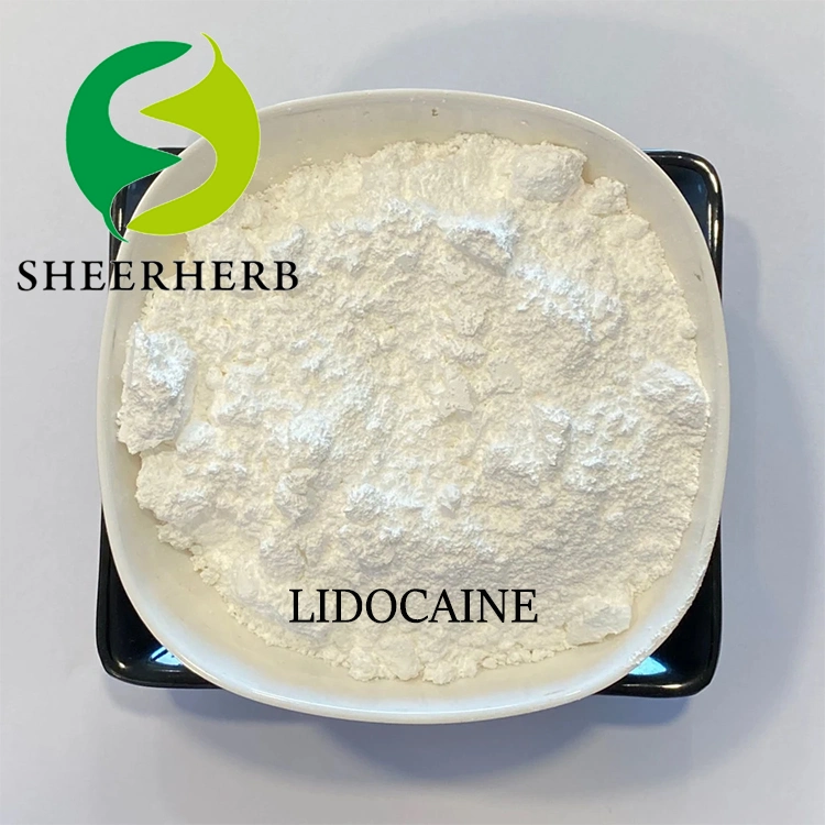 Suministro de fábrica Lidocaine polvo Precio barato Lidocaine CAS 137-58-6 Lidocaine Polvo