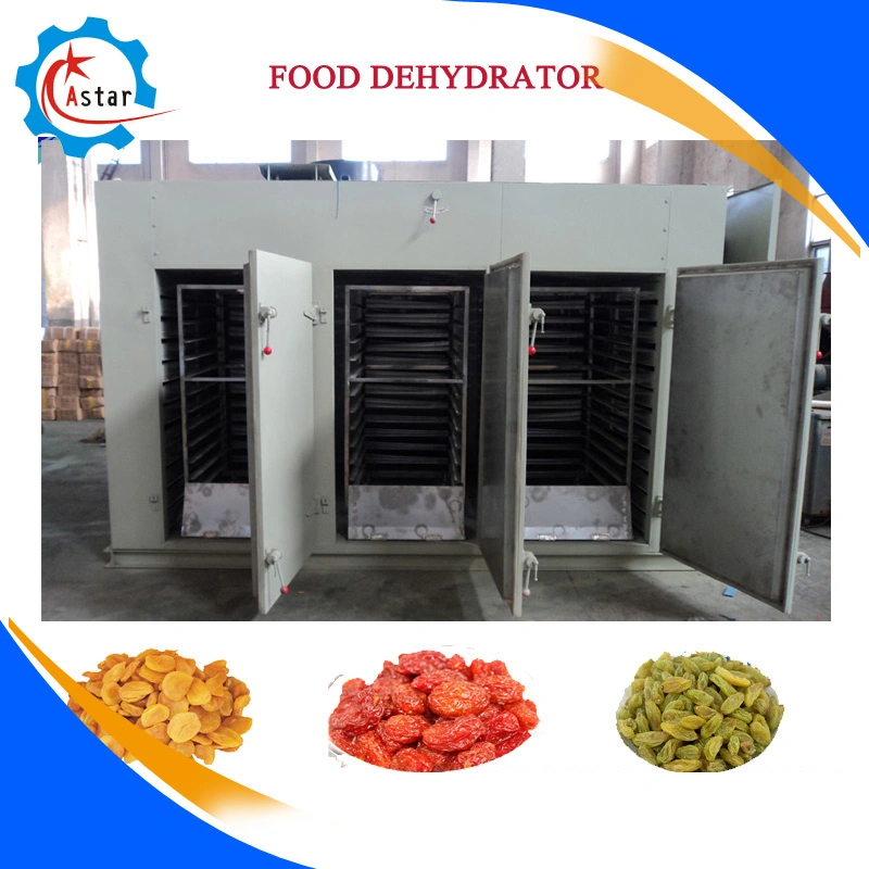 Industrial Fresh Vegetable Fruit Dehydrator