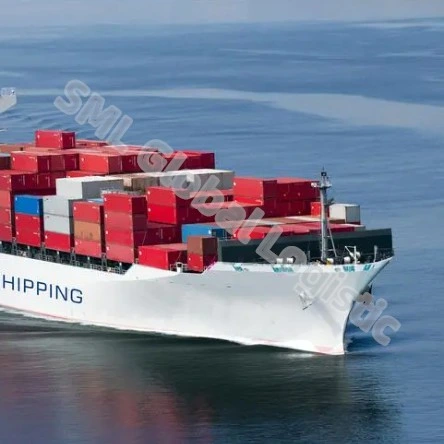 Professional Fast Reliable Air/Ocean Cargo Shipment Freight Forwarder From China to Worldwide Door to Door by Sea Cargo Shipment