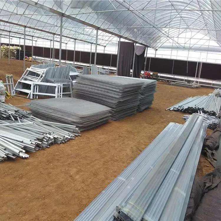 Factory Wholesale/Supplier Greenhouse Movable Seeding Beds for Flowers/Young Plants