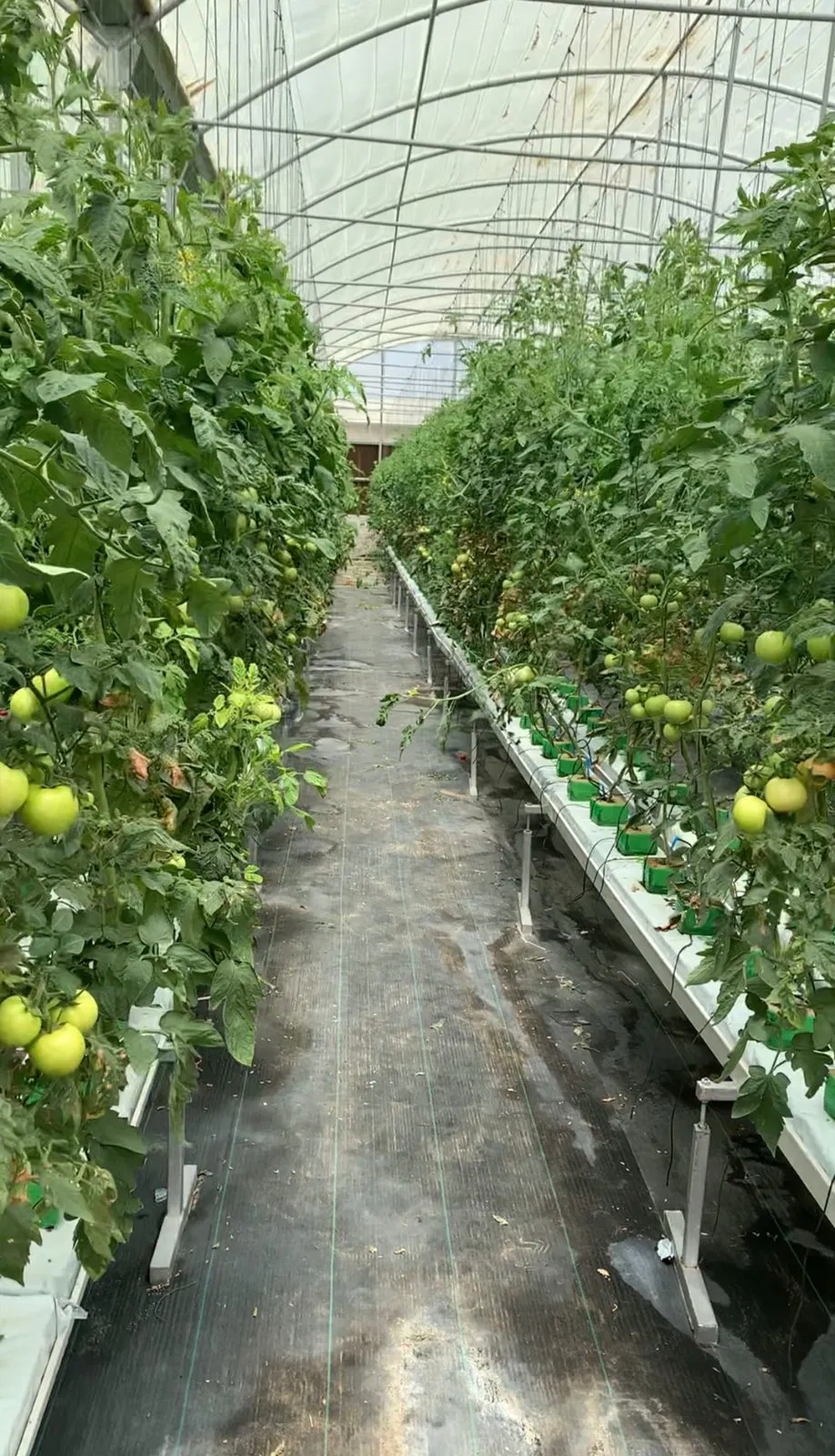 Durable PVC Gutter for Greenhouse Hydroponics System