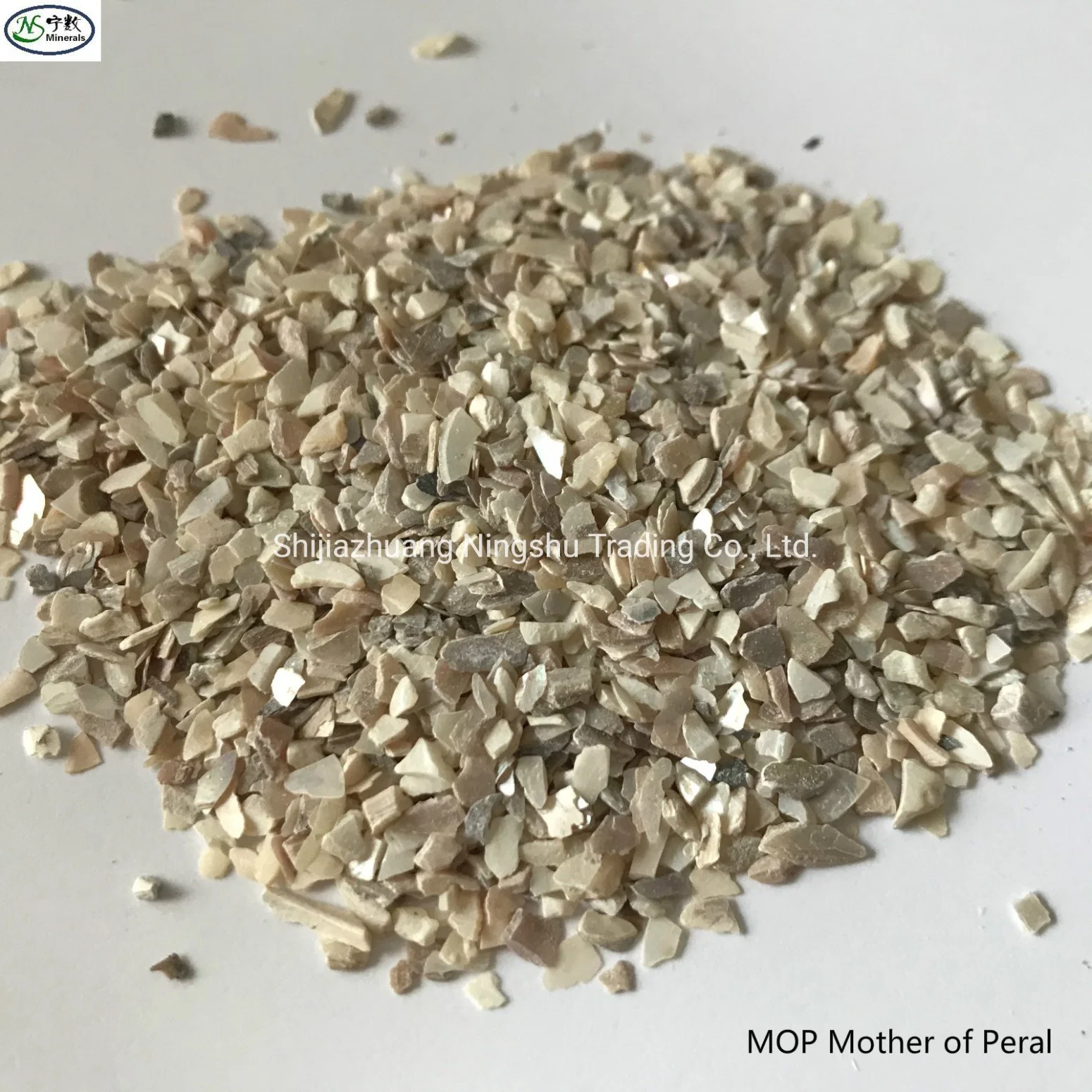 Natural Mop Mother of Pearl Seashell Chips for Terrazzo Tile