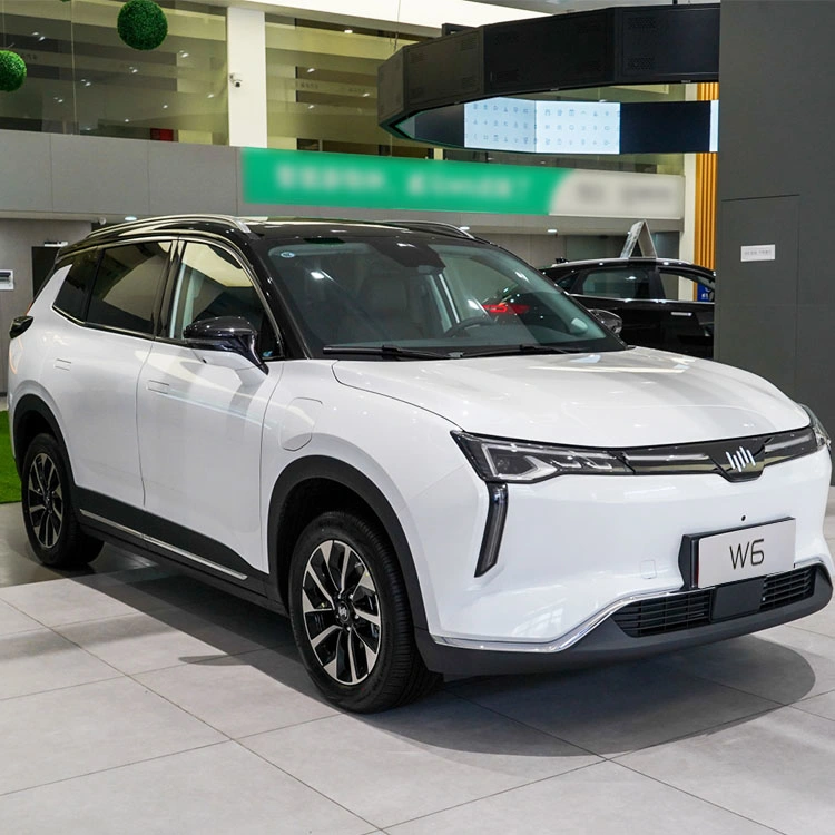 Автомобиль электромобиля Weima W6 Classic SUV EV типа White Горячая продажа дальнего действия