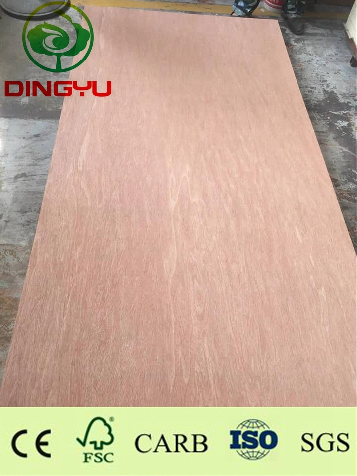 Good Quality Bintangor Face/Back Plywood Okoume Plywood Hardwood/Poplar Core