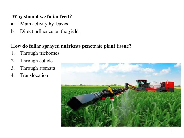 Fertilizante biológico para plantas Nutritução (elementos de traço)