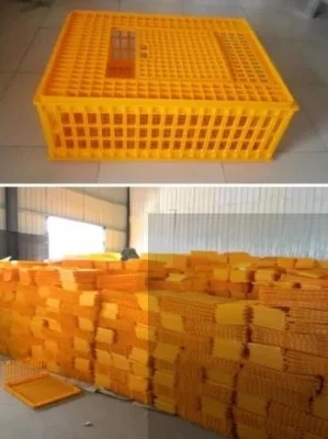 Hot Sale High quality/High cost performance Plastic Chicken Transport Cage for Poultry Farm Used