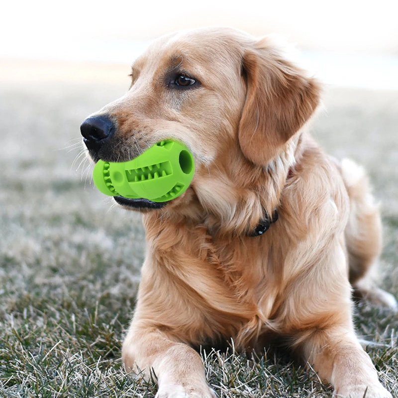 Nueva mascota juguetes Limpieza de dientes molares y la falta de rompecabezas de sonido de los alimentos aliviar el aburrimiento resistente a la mordedura de suministros de adiestramiento de perros