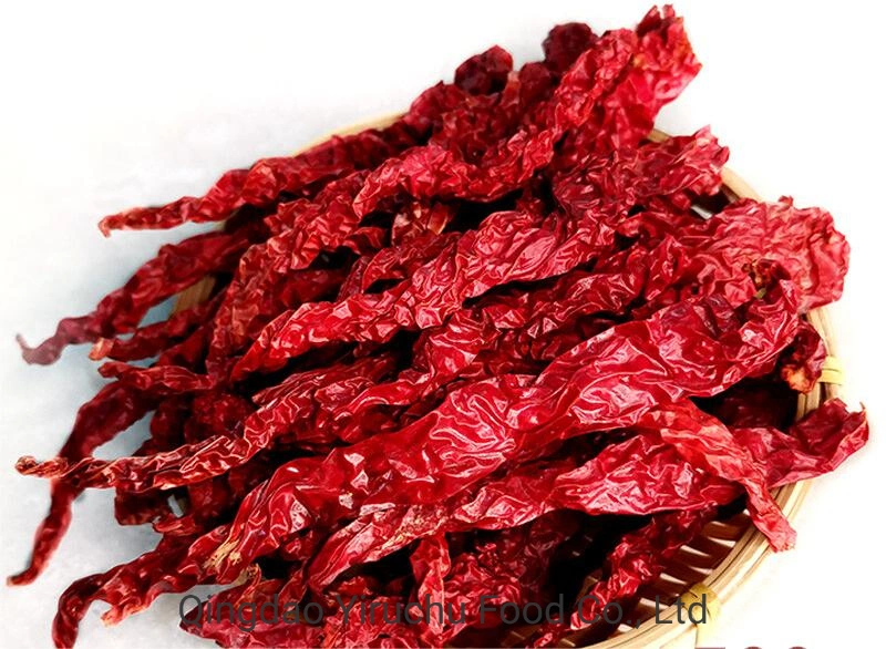 Hochwertige Fabrik Versorgung Red Dry Chili