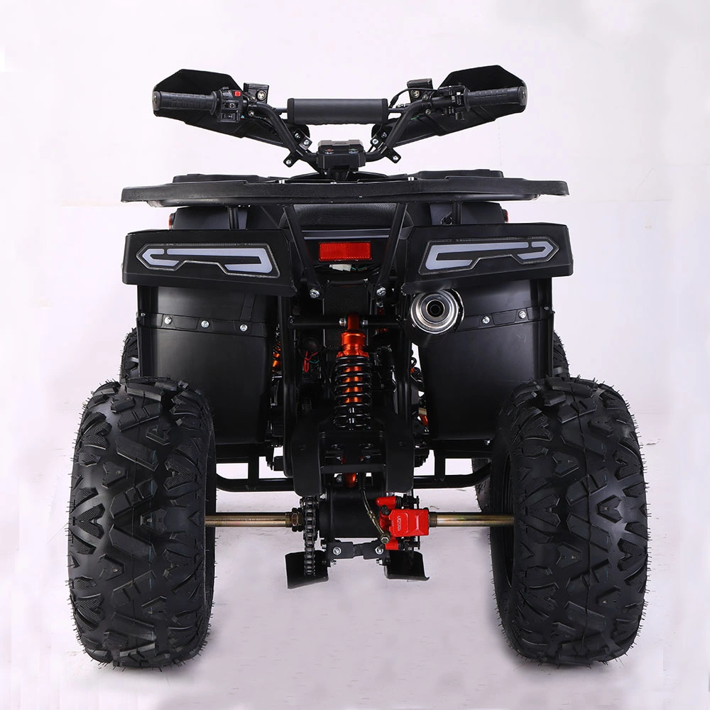 2022 Neu 125cc Kinder ATV Erwachsene Quad Bike 4 Rad Benzin