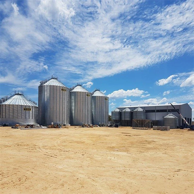 Nuevo diseño de construcción rápida a prueba de agua Pre Engineered Modern Warehouse Edificio de estructura de acero prefabricado