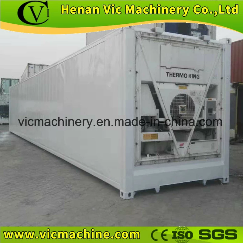 Multiple Function Seafood Used Reefer Container