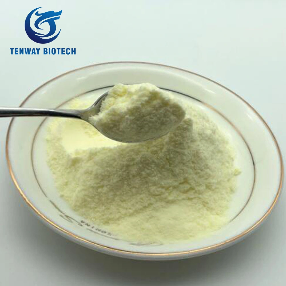 Best Quality Food Additive Non Dairy Cream Powder for Bubble Tea