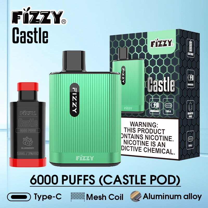 Precio de fábrica Fizzy Caetle 6000 Puff cerrado Pod Tipo C desechable E lápiz VAPE