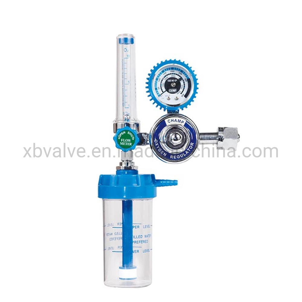 Gas Flowmeter External Thread Oxygen Pressure Regulator Buoy Type Inhalator Flow Meter Absorber