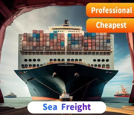 Logistics Sea Agent Ship with Cheapest Price to Thailand / Italy / Poland / Kuwait Cargo Agent