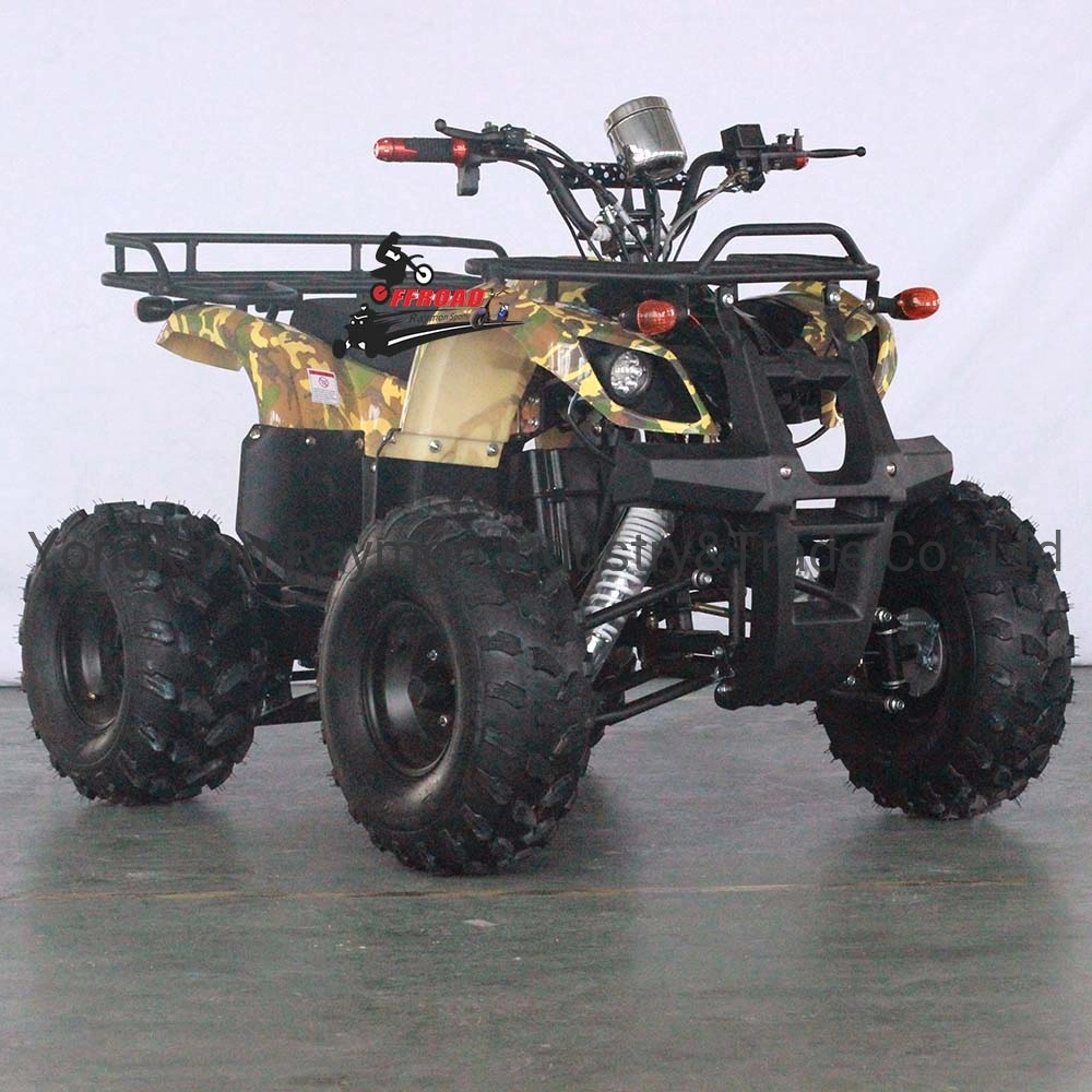 1200W Electric ATV Quad 4X2 Dune Buggy ATV
