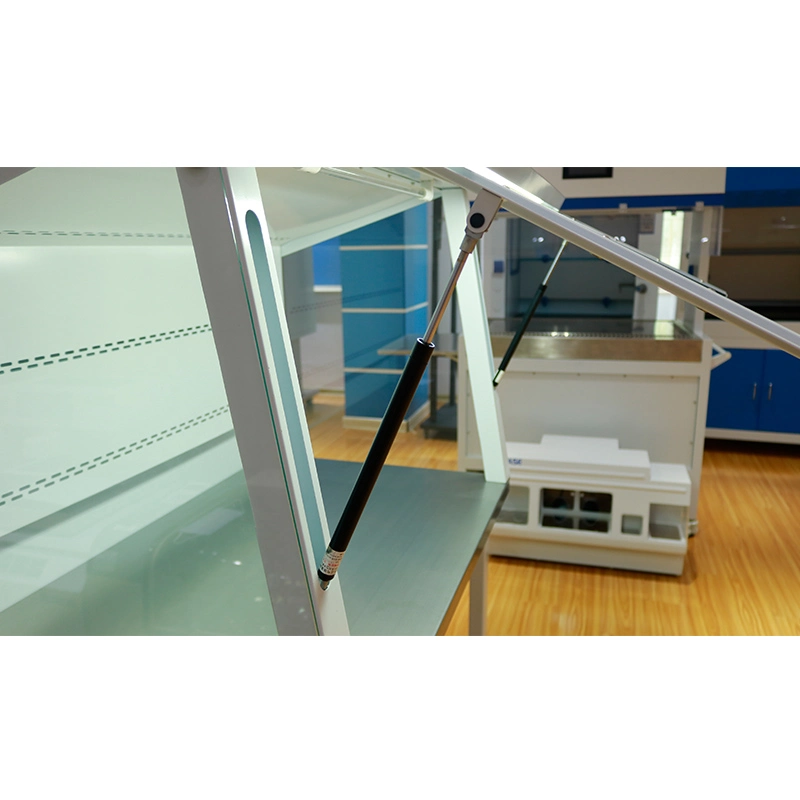 Biobase Class I Biosafety Cabinet Cost-Effective with UV Lamp for Lab and Medical