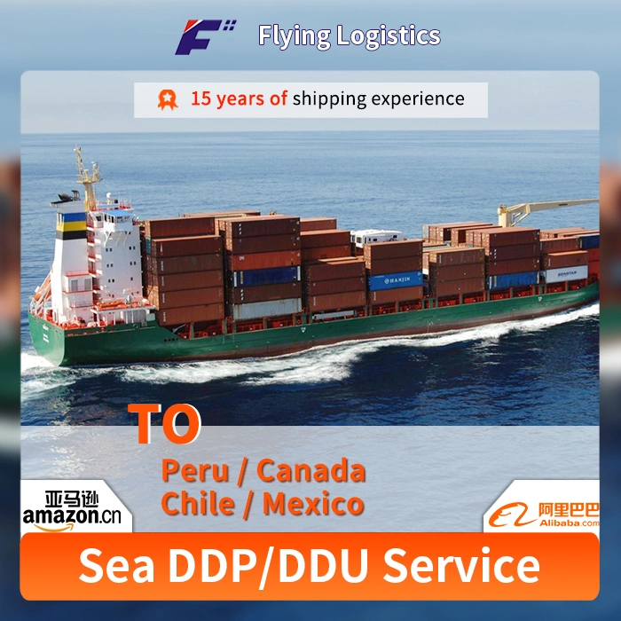 International Sea Shipment Ocean Freight Forwarder DDP Sea Shipping to Peru/Canada/Chile/Mexico