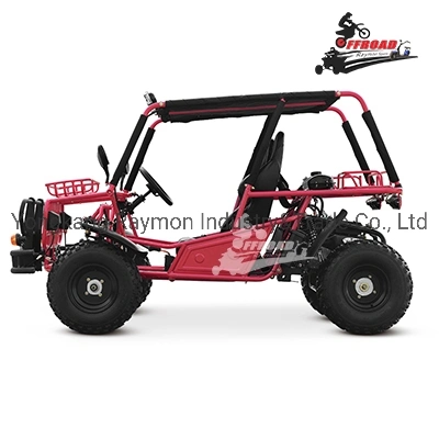 China Double Seat Racing 4 Stroke Go-Kart