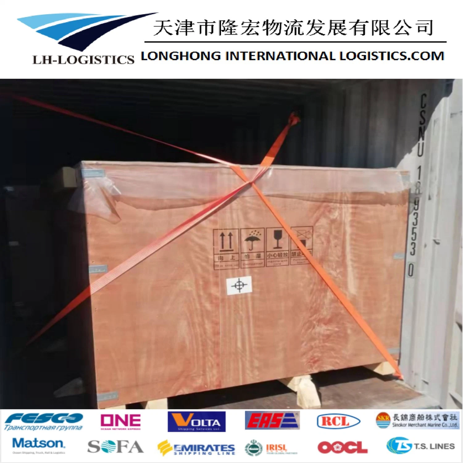 Profesional China Competitive sea Freight desde Shanghai/Tianjin/Qingdao a Nhava Sheva