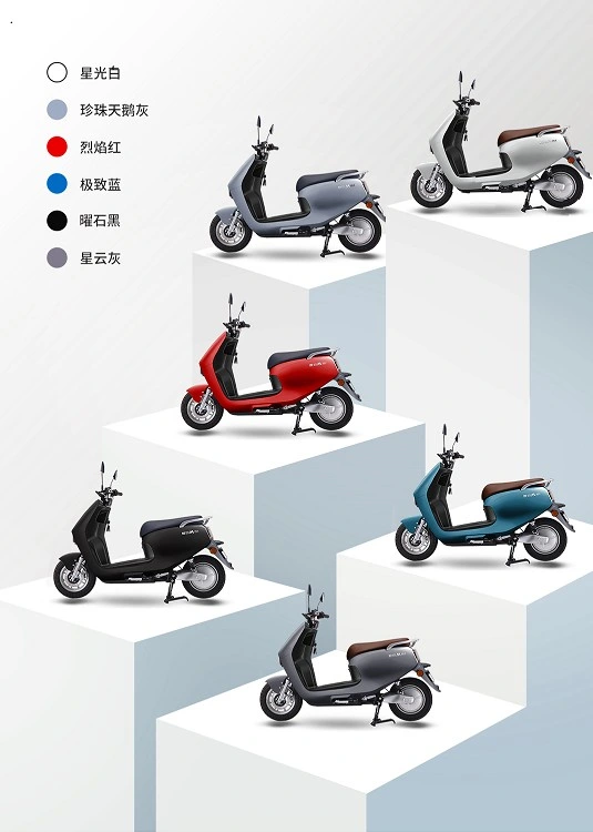 Patent Fashion Electric Scooter Bike for Women Adult Popular Model with Lead Acid Battery