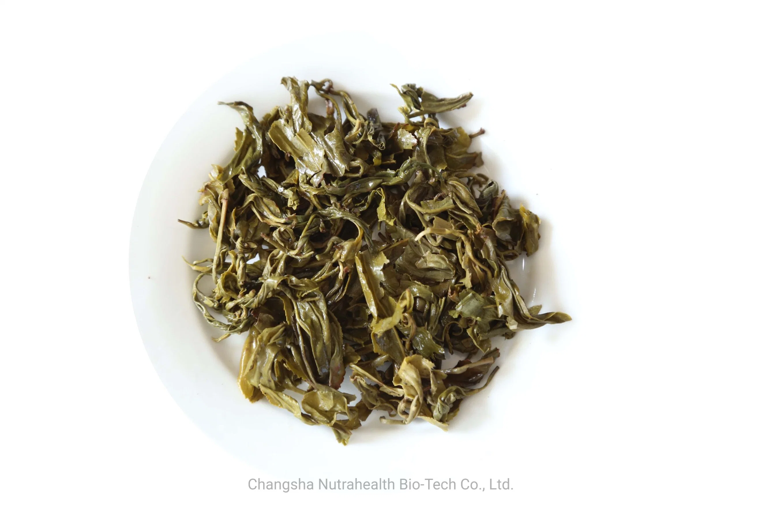 3505 single Five Hole/Africa Libya Morocco Tea China Green Tea Gunpowder Tea 9375