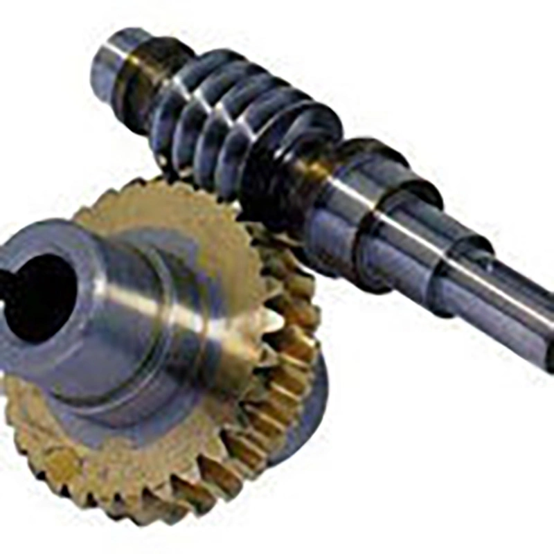 Double Start Worm Gear Drive Wheel Good Price Ground Shaft Helical Micro for Gearbox Stainless Steels Speed Reducer Outdoor Ride Carspare Best Manufacturer Gear