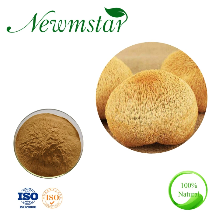 Les Lions Mane Extrait de champignons 10 %-50 % polysaccharide extrait Hericium Erinaceus Poudre