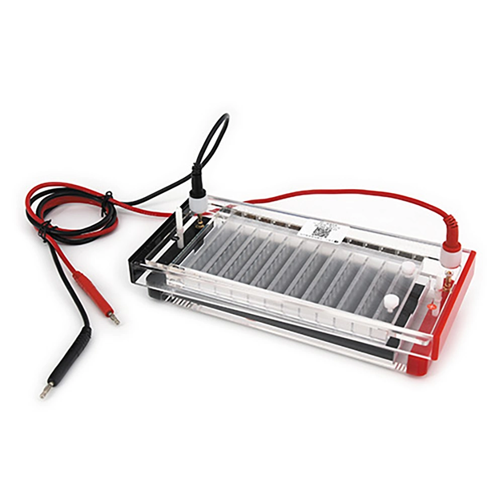 Electrophoresis Cell for PCR DNA Identification and Separation