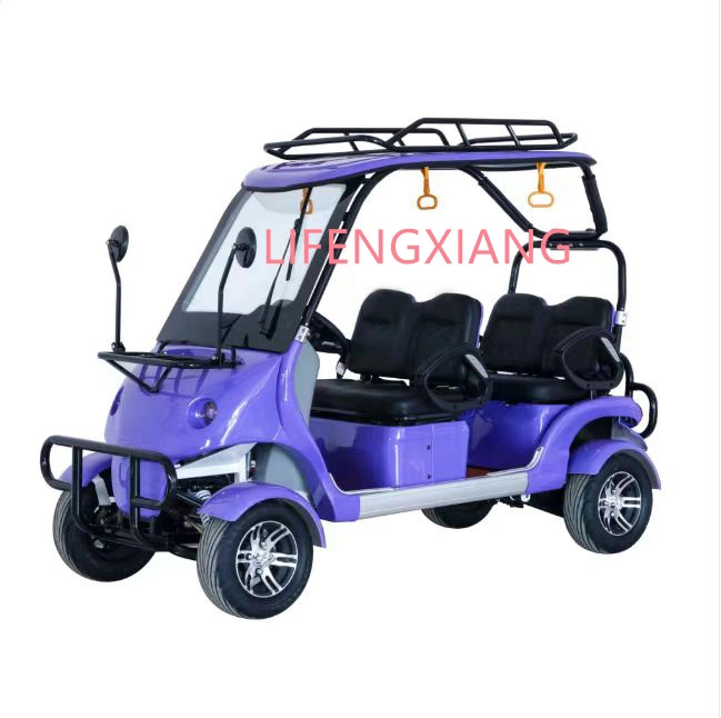 CE Approved Cool Design Adult Lead Acid Battery Operated 2500W Four Wheels Electric Sightseeing Trolley