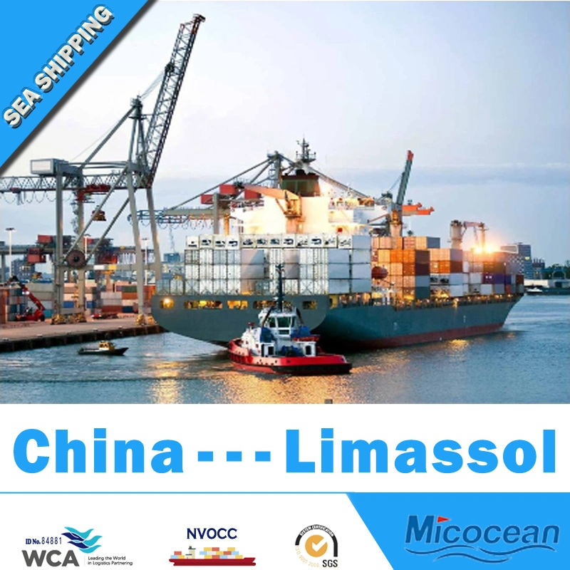 Ocean Shipping International Freight Forwarder Sea Shipping de Chine à Chypre