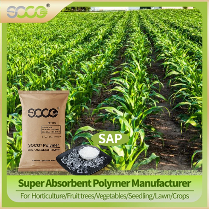 Safety and Non-Toxic Potassium Polyacrylate Agricultural Seed Coating Polymer Eco-Friendly to Increase Production