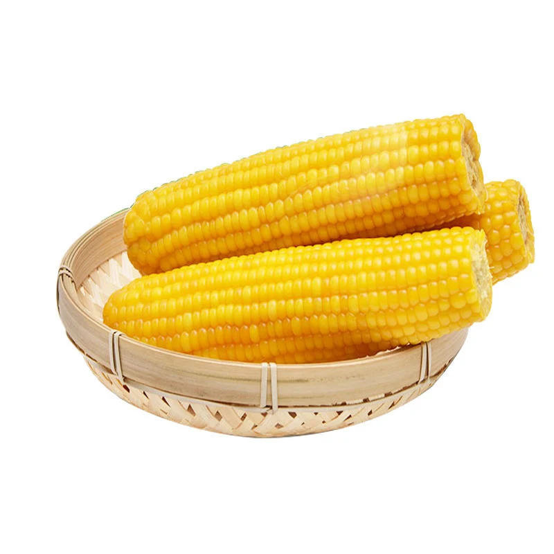 Yellow Corn Animal Feed / Feed Grade Yellow Corn